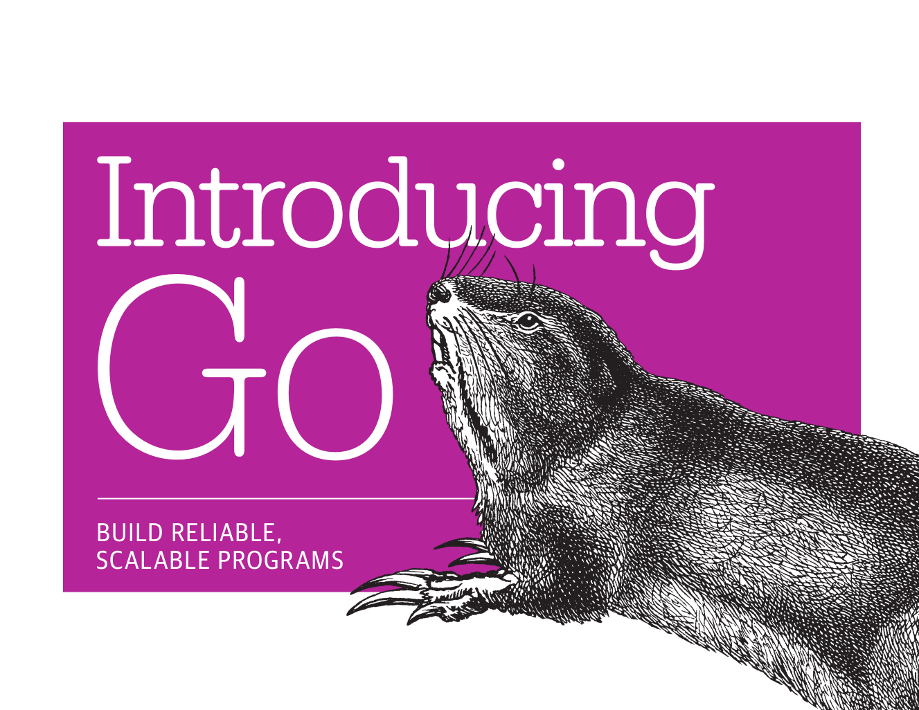 مقدمه ای بر GO